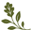 Sjelsgave logo