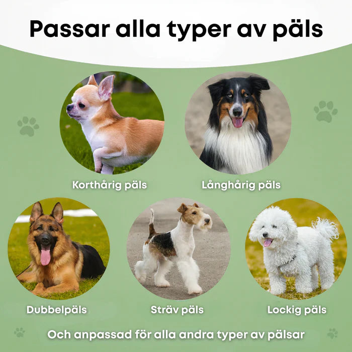 🐶 Hundborste som stoppar fällning och håller hemmet rent 🦴