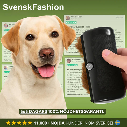 🐶 Hundborste som stoppar fällning och håller hemmet rent 🦴